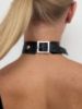 Immagine di Girocollo Choker VENUS